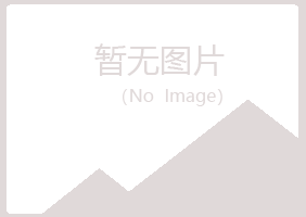 宁夏谷雪能源有限公司